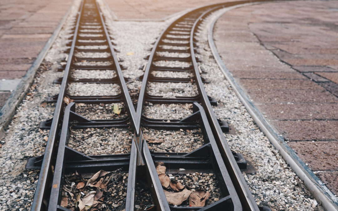 AN UNEASY GUIDE FOR LEADERS: Finding Purpose and Inspiration in Uncertain Times